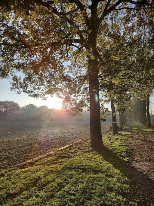 Dielpenhof Zedelgem Exteriör bild