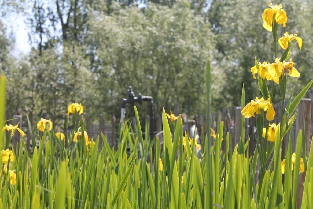 Dielpenhof Zedelgem Exteriör bild