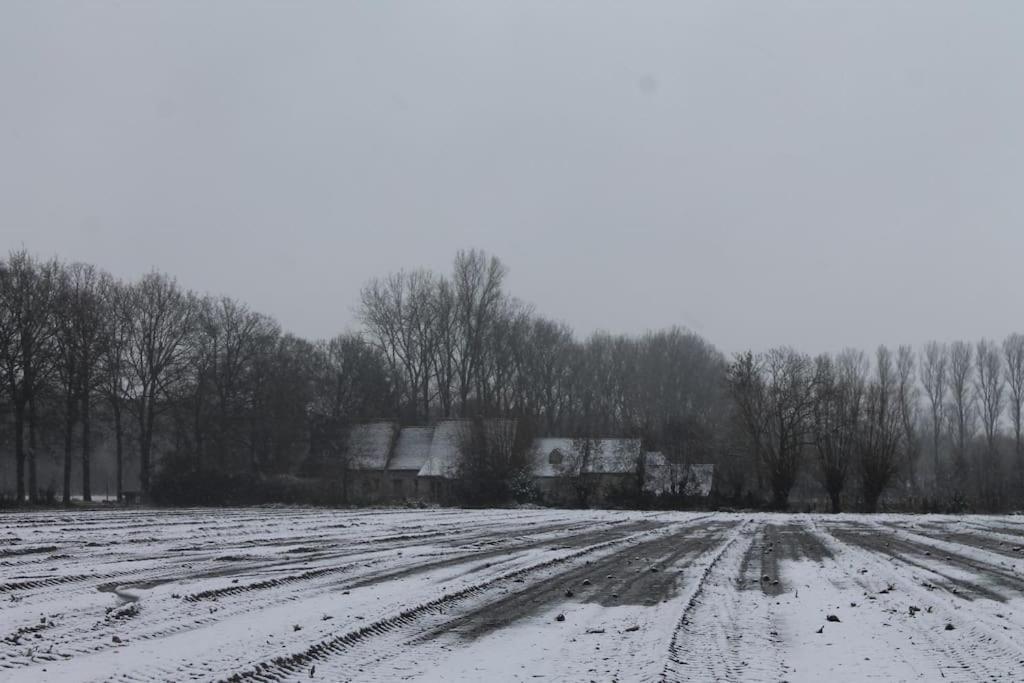 Dielpenhof Zedelgem Exteriör bild
