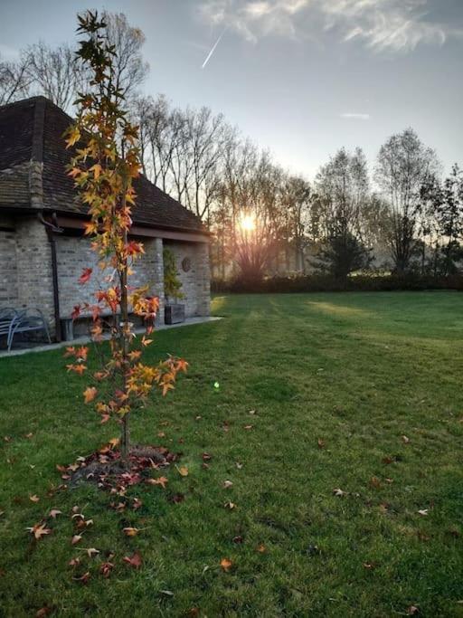 Dielpenhof Zedelgem Exteriör bild